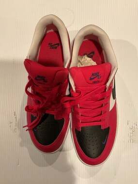 Nike SB Force 58 Premium Rush Pink White Black DH7505-600